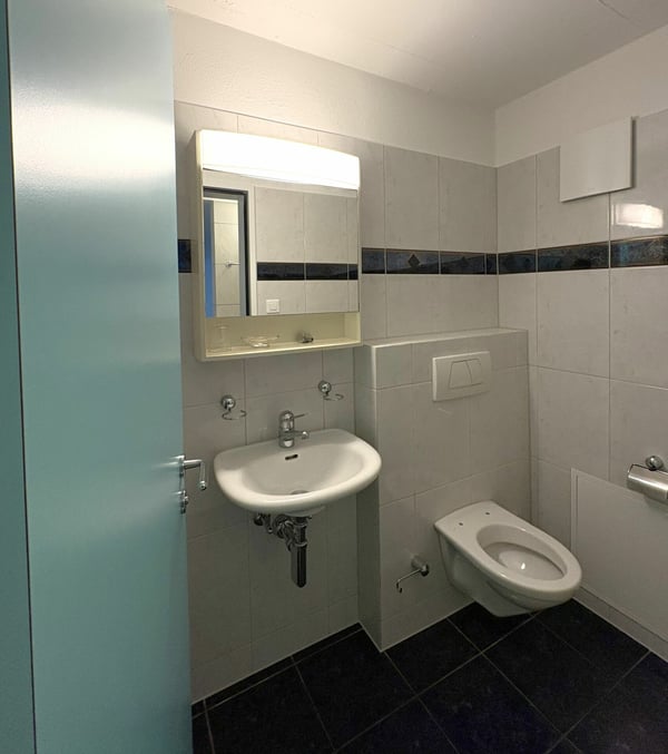 2-Zimmer-Wohnloft in Brunnen - Wohnen nahe am See 6