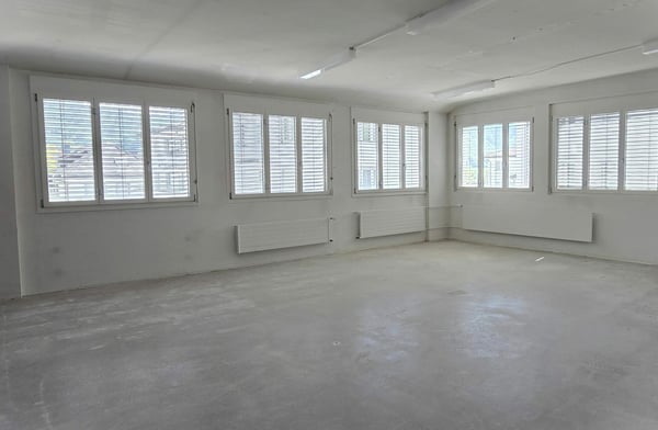 Vielseitiger Gewerberaum im Zentrum von Schwyz 3