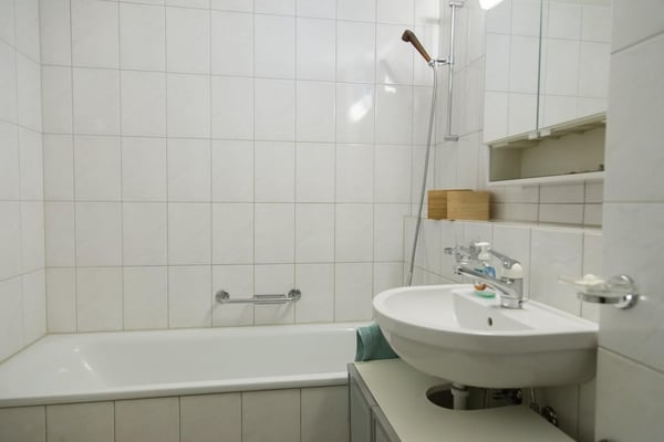 originelle Dachwohnung mit Galerie 8