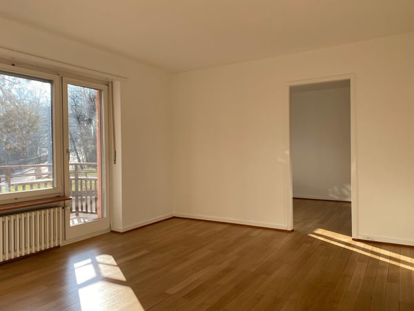 1.0 Zimmerwohnung in Basel 2