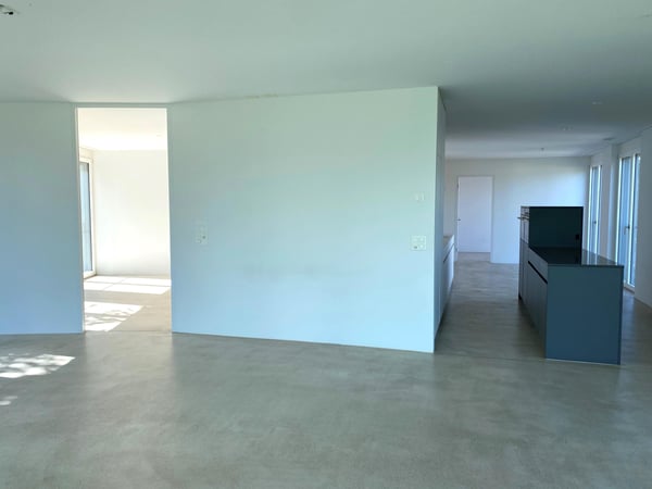 1.0 Zimmerwohnung in Binningen 4