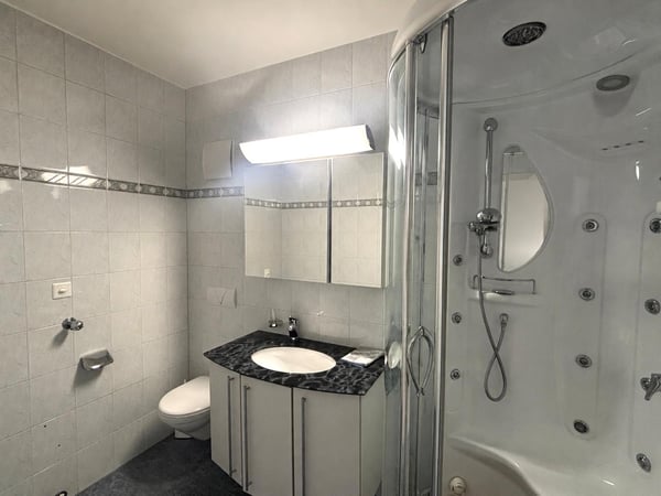 grosse 3-Zimmer-Wohnung mit zwei Balkonen 4