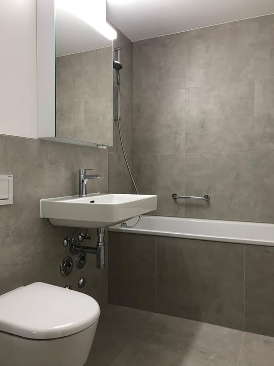 3-Zimmerwohnung in Allschwil 5
