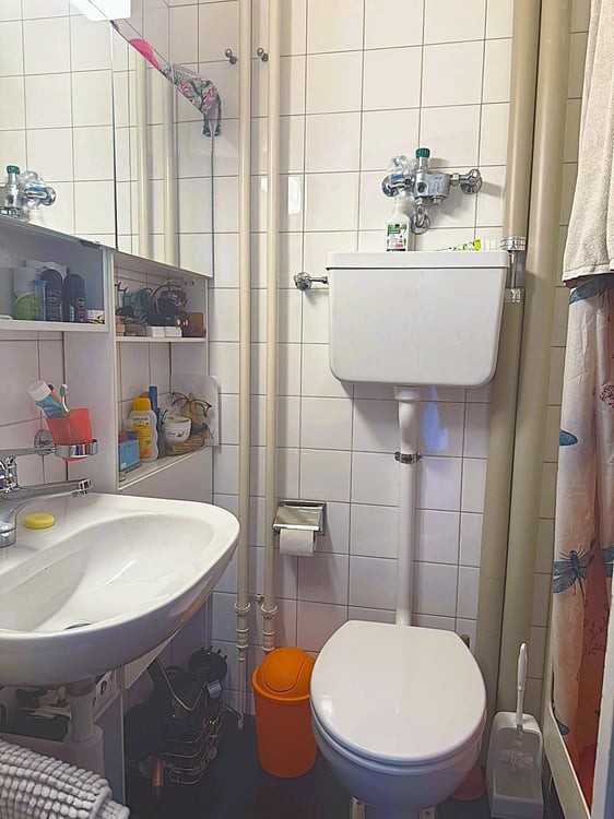 Helle 3-Zimmer-Wohnung Nähe Bahnhof SBB 7