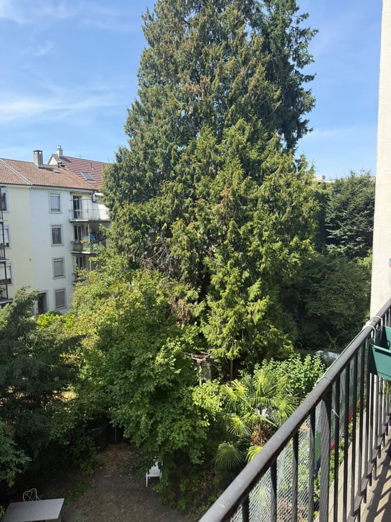 Helle 3-Zimmer-Wohnung Nähe Bahnhof SBB 8