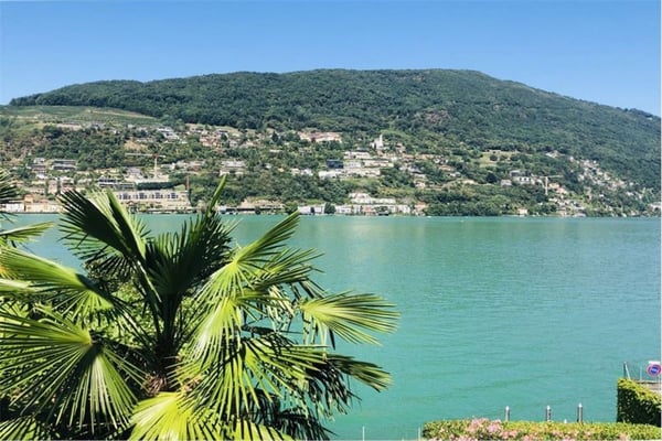 Brusino Arsizio - Interessante terreno edificabile con accesso al lago | Brusino Arsizio - Interessantes Bauland mit Seezugang 13