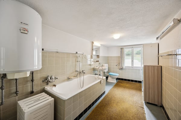 Charmantes 2-Zimmer Haus in Leibstadt mit grosser Dachterrasse 7