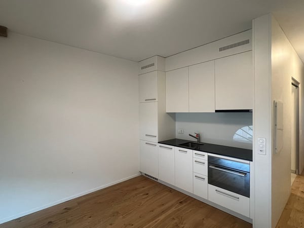 Modernes 1.5 Zimmer Studio in Stein AG mit Erstklassiger Lage 6