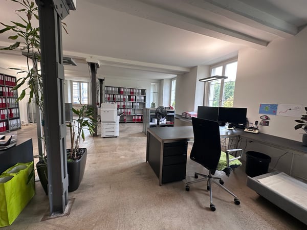 Gewerbe- und Retailfläche im historischen Altbau – Aathalstrasse 84, Uster 4