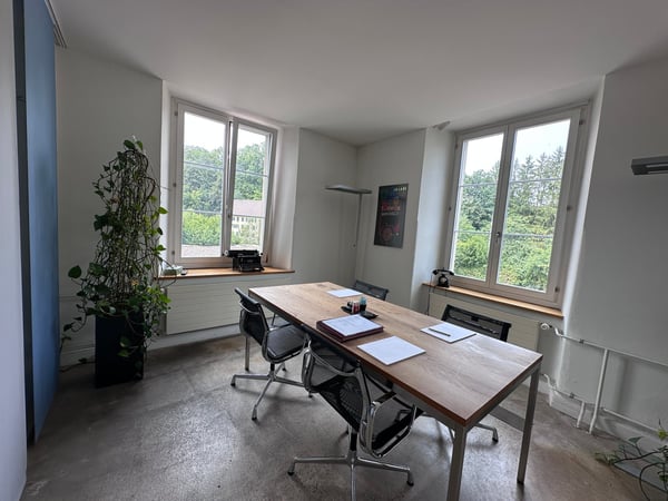 Gewerbe- und Retailfläche im historischen Altbau – Aathalstrasse 84, Uster 8