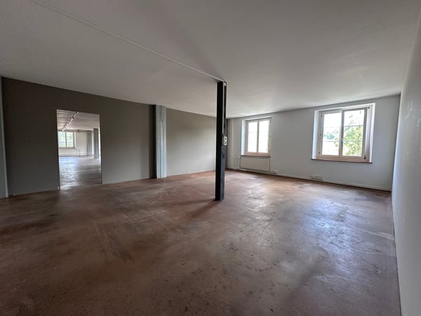 Gewerbe- und Retailfläche im historischen Altbau – Aathalstrasse 84, Uster 7