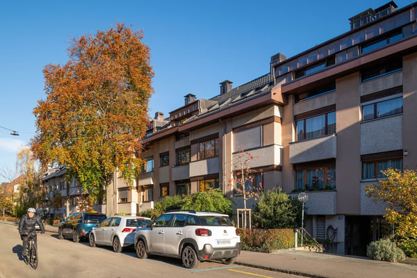 3.5 Zimmer-Wohnung mit Hobbyräumen beim Kannenfeldpark in Basel 1