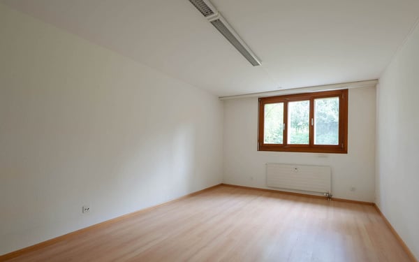 3.5 Zimmer-Wohnung mit Hobbyräumen beim Kannenfeldpark in Basel 10