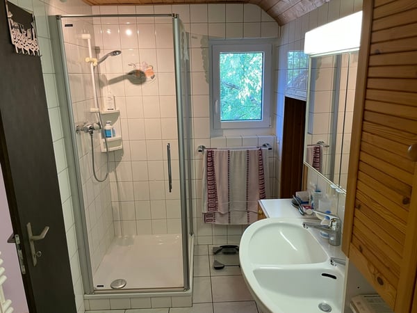 Bezaubernde Maisonette-Dachwohnung in Binningen 12