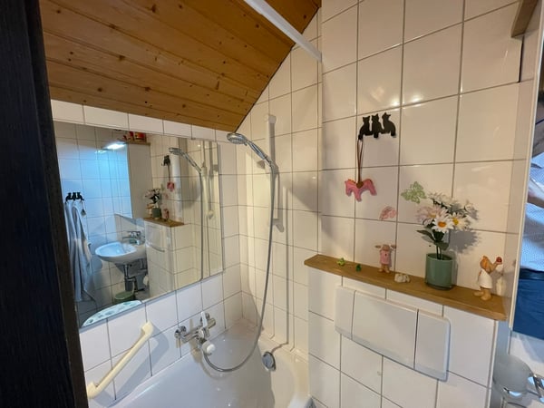 Bezaubernde Maisonette-Dachwohnung in Binningen 7