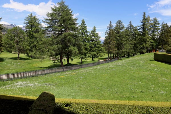 Magnifique appartement de 1.5 pièces à Crans-Montana 17