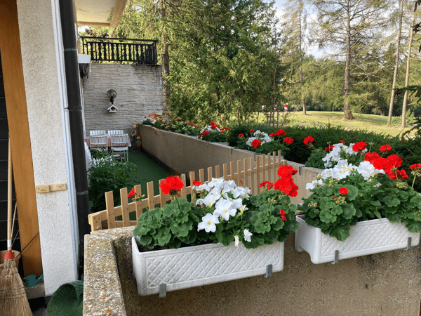 Magnifique appartement de 4,5 pièces avec vue à Crans 17