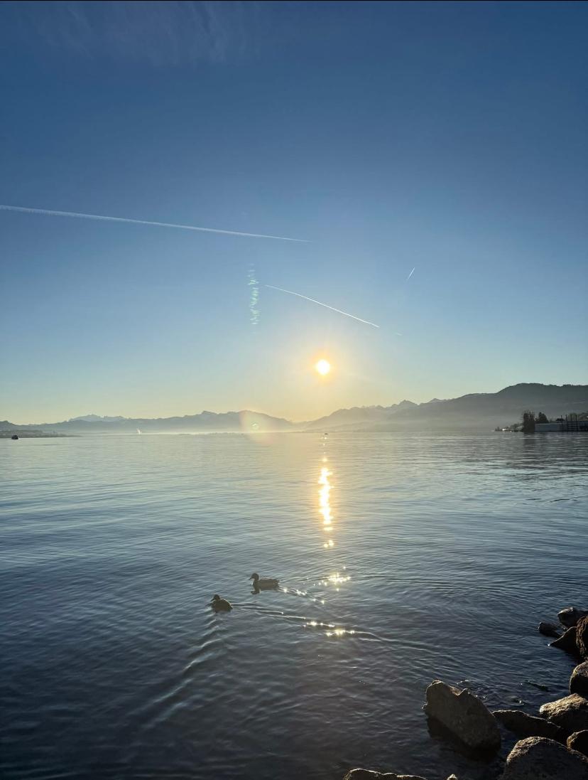 a lake with calm water, mountains in the background, two ducks, blue sky, sunset