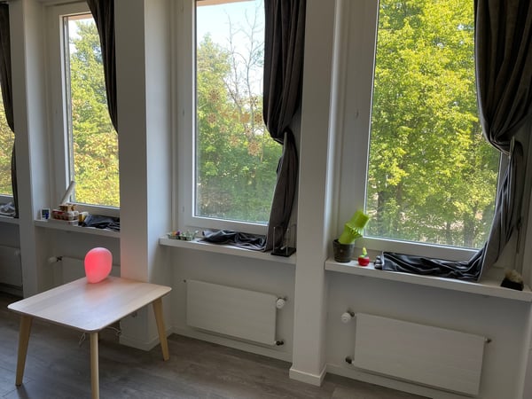 1.5-Zimmer-Wohnung in Schwerzenbach 5