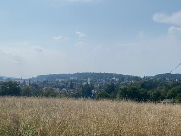 Sonnige Gartenwohnung mit Alpenblick an Toplage 19
