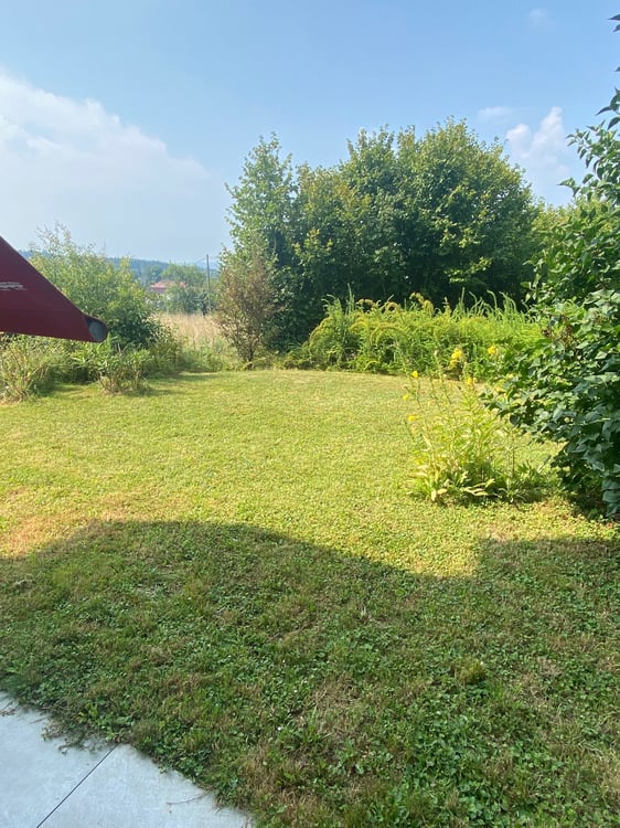 Sonnige Gartenwohnung mit Alpenblick an Toplage 12