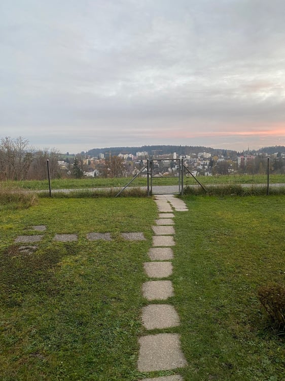 Sonnige Gartenwohnung mit Alpenblick an Toplage 15