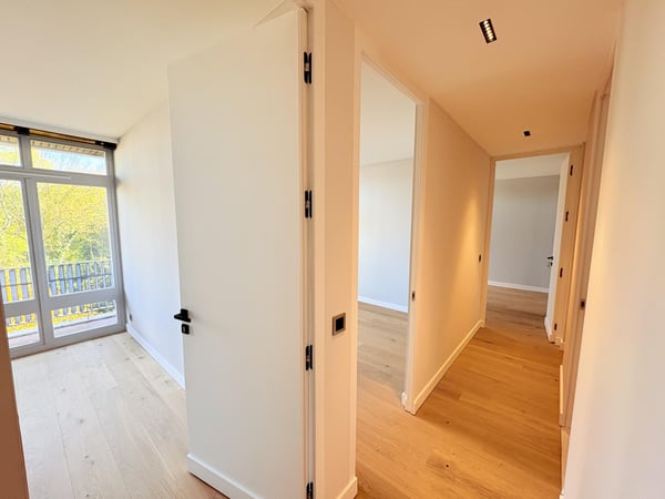 Appartement 1 pièce entièrement rénové - Avenue de Budé 5