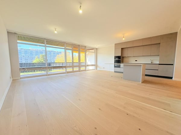 Appartement 1 pièce entièrement rénové - Avenue de Budé 3