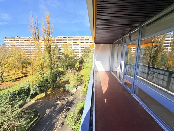 Appartement 1 pièce entièrement rénové - Avenue de Budé 13