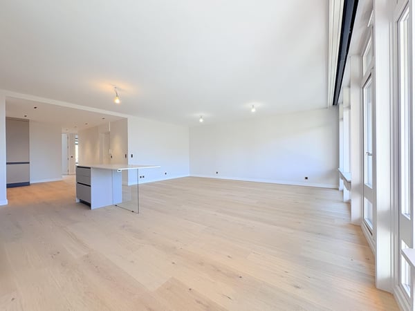 Appartement 1 pièce entièrement rénové - Avenue de Budé 2