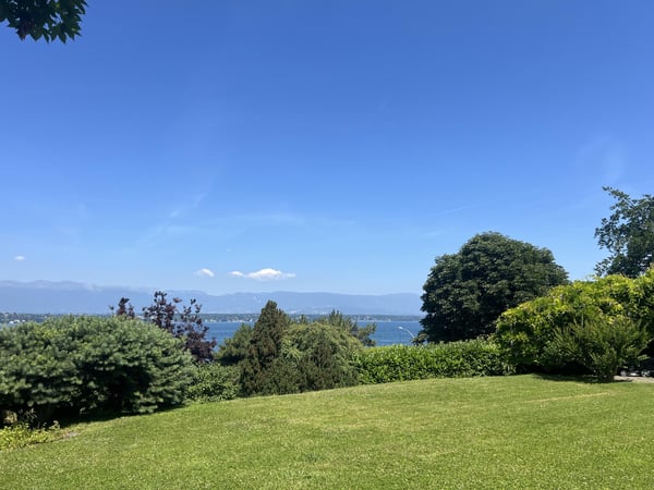 Aperçu de l'image de l'immobilier