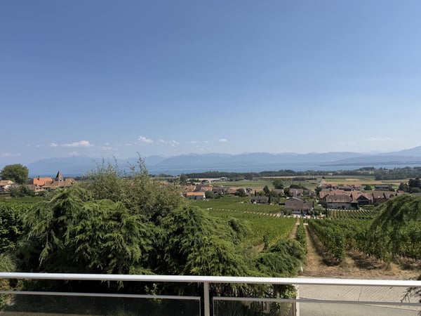 Magnifique villa avec vue panoramique à Bursins