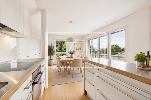2.5 Zimmer Attikawohnung und zusätzliches Studio am Zürichberg 3