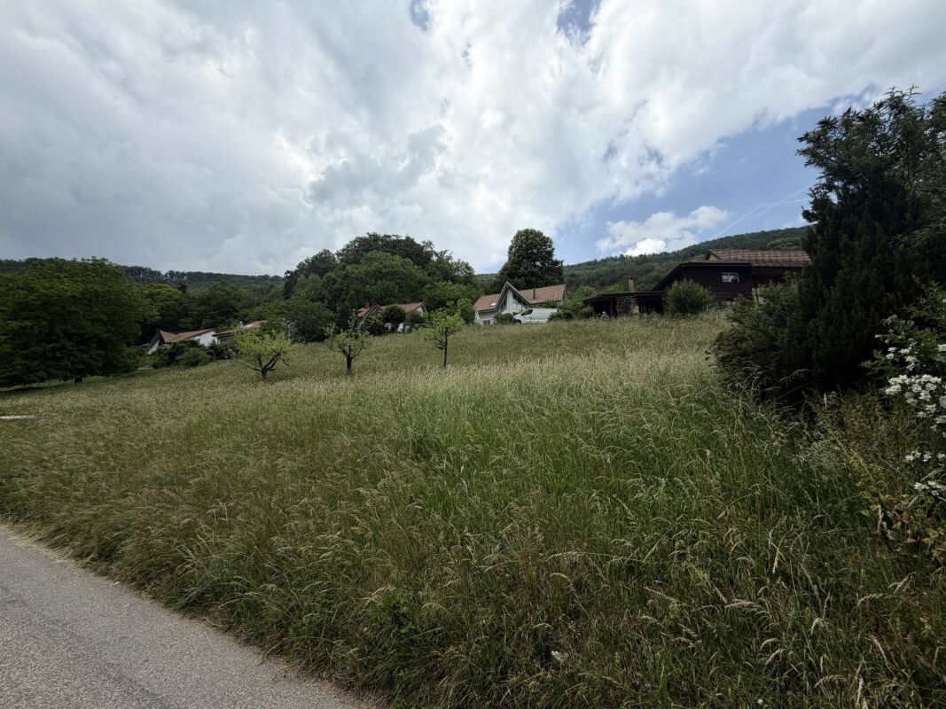 Seltene Gelegenheit: Wohnhaus mit Ökonomieteil und Baulandreserve auf 1'752 m² in Lostorf