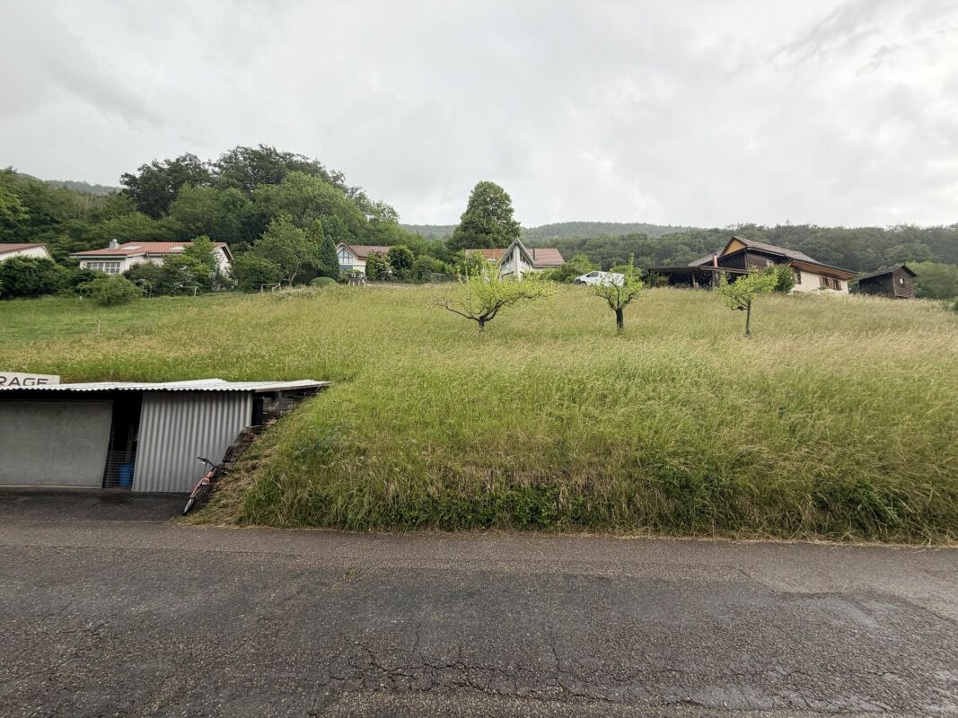 Seltene Gelegenheit: Wohnhaus mit Ökonomieteil und Baulandreserve auf 1'752 m² in Lostorf