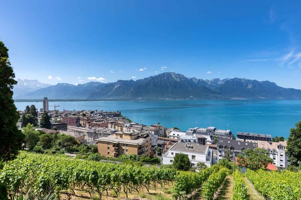 Immeuble PPE de 4 appartements à Montreux avec vue exceptionnelle 6