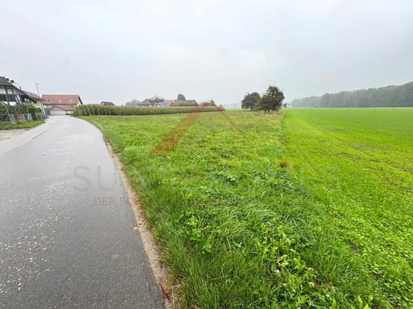 Attraktives Bauland in 3376 Graben - sonnig, ruhig und vielseitig nutzbar 2