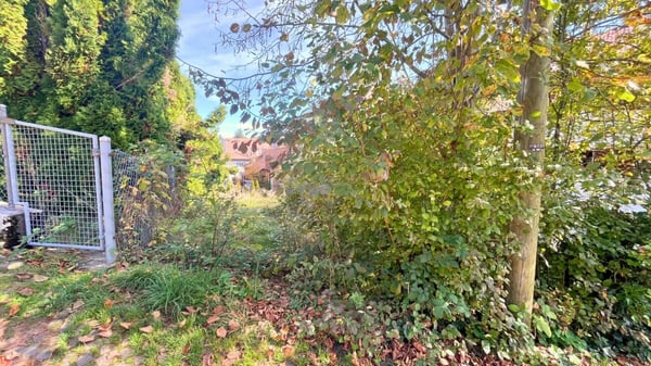 Opportunité rare à Sonvilier - terrain plat de 1'200 m² idéal pour projet immobilier rentable 5