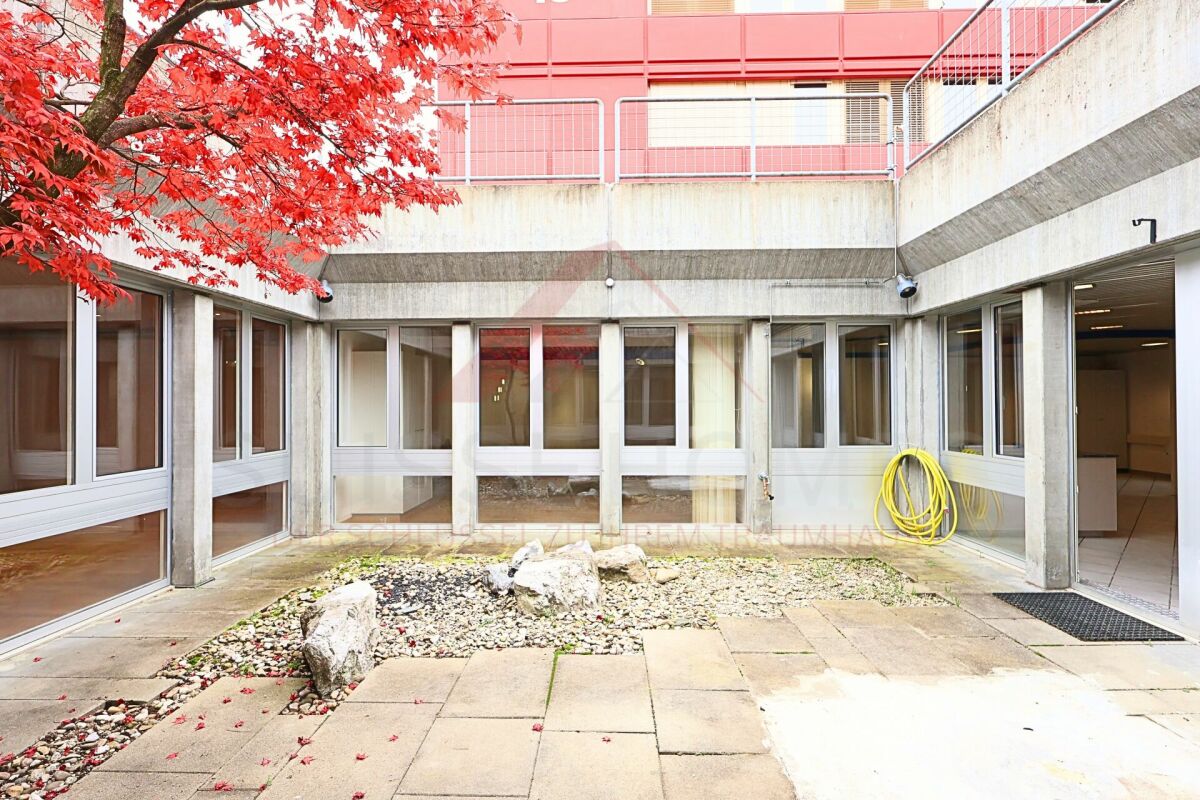 Wohnen und Arbeiten vereint - Atriumgebäude mit 220 m² Wohn- und 270 m² Gewerbefläche in Thörishaus