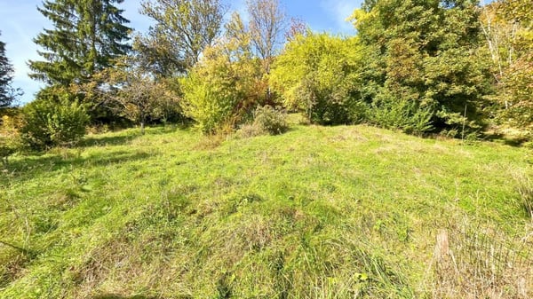 Sonvilier - Terrain constructible idéal pour villas ou maisons mitoyennes dans un cadre calme 5