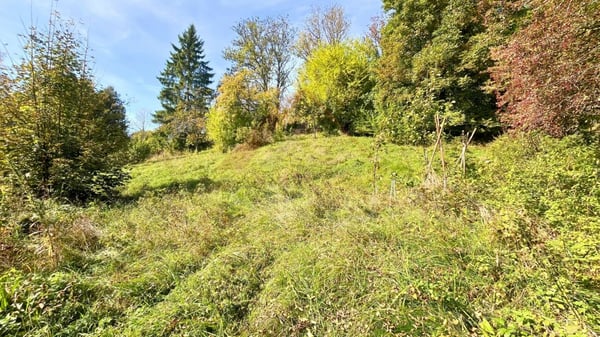 Sonvilier - Terrain constructible idéal pour villas ou maisons mitoyennes dans un cadre calme 4