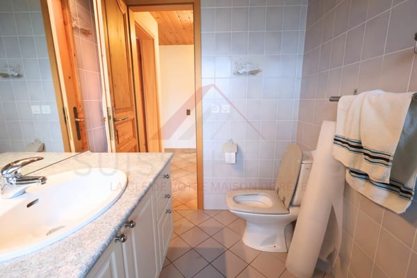 Maison familiale d'exception avec piscine, sauna et grand jardin à La Brillaz 22