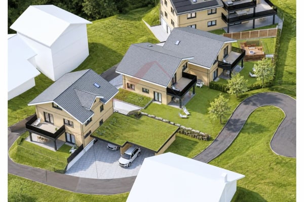 Modernes 6.5-Zimmer-Neubau-Einfamilienhaus in Seelisberg UR 1