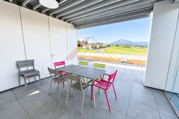 Gewerbefläche mit Potenzial - 160 m² im modernen Neubau in Buchrain 6
