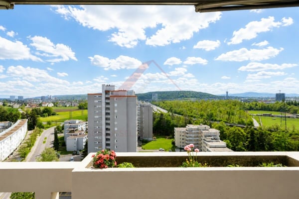 Seltene Investmentchance mit laufenden Einnahmen in Opfikon 31