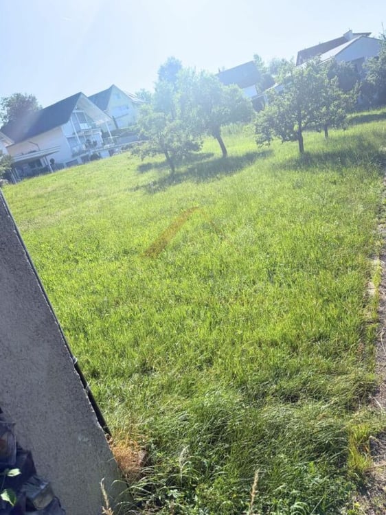 Sonnige Baulandparzelle mit Weitsicht - Verwirklichen Sie Ihren Wohntraum in Lampenberg 3