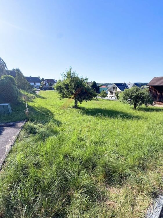 Sonnige Baulandparzelle mit Weitsicht - Verwirklichen Sie Ihren Wohntraum in Lampenberg 2