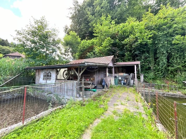 Naturparadies mit 7 Fischteichen - Einzigartige Freizeit- und Fischzuchtanlage in Gränichen 5