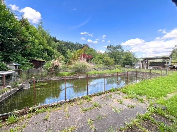 Naturparadies mit 7 Fischteichen - Einzigartige Freizeit- und Fischzuchtanlage in Gränichen 4