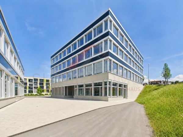Gewerbefläche mit Potenzial - 160 m² im modernen Neubau in Buchrain 2